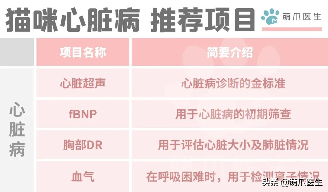 驾驶人体检项目,医院驾驶人体检项目