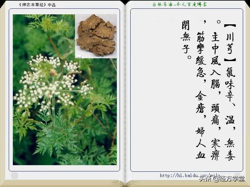 《神农本草经》全册图文解析 建议收藏