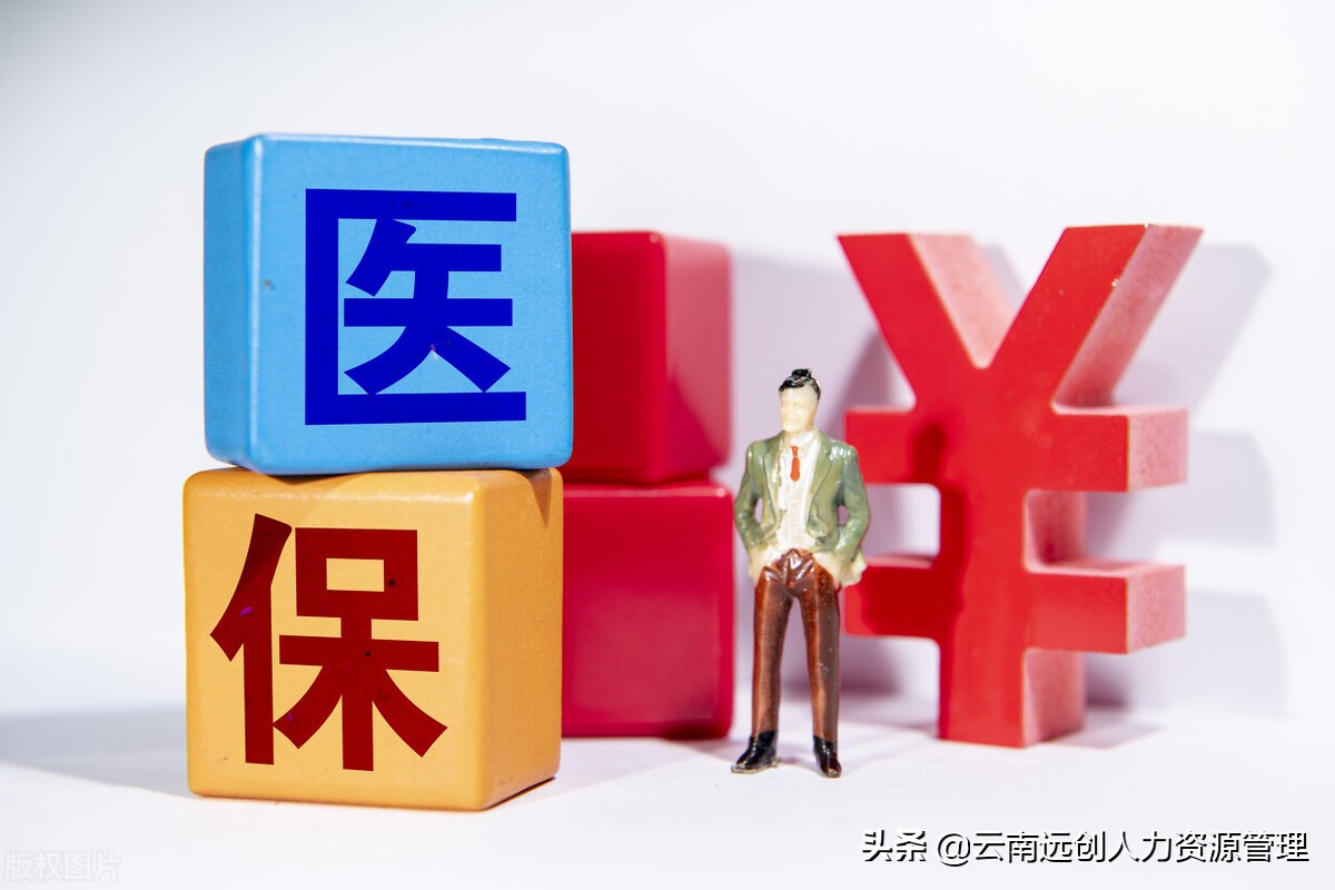 医疗保险怎么缴费网上,医疗保险怎么缴费网上支付宝