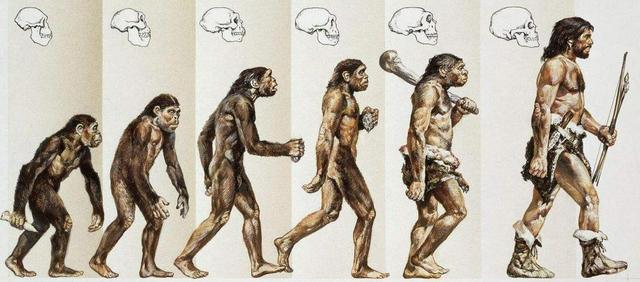 科学家证实:人类是从鱼类进化来的,进化过程大概是这样