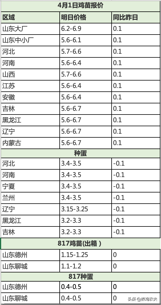 3月31日毛鸡与鸡苗报价，鸡苗涨势重燃，你选择补栏还是观望？