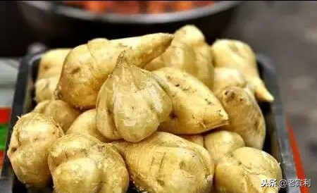 这种东西叫土瓜清甜可口 可做菜炒着吃，可做生果吃你们那叫什么