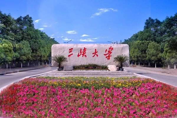 湖北省一本大学（湖北省地级市有哪几所高校在一本招生呢）