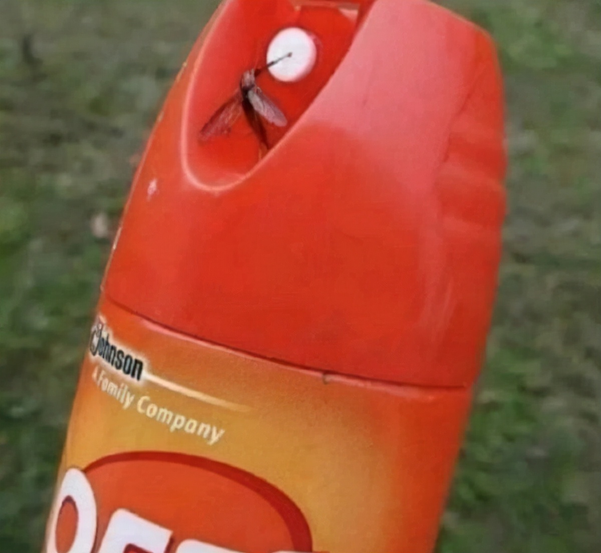 轻松一刻：关于泻火，我有话说