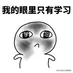 廚房燃氣灶到底怎么選?看完這篇再說話