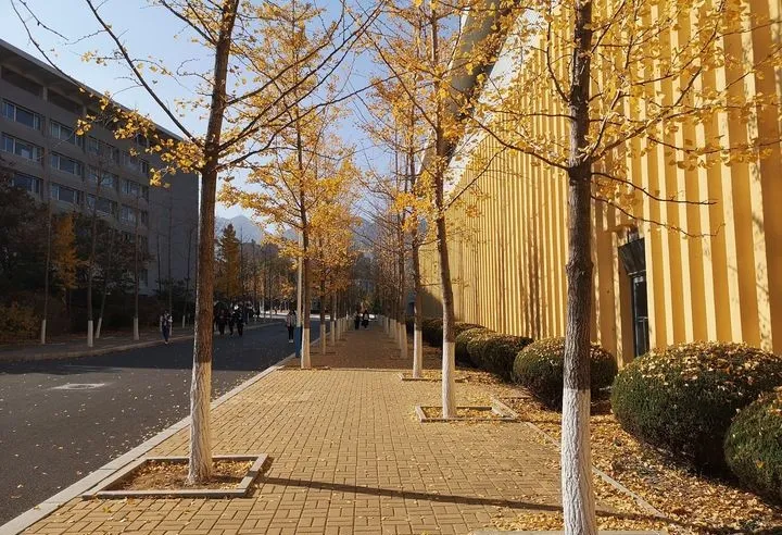 艺考资讯 | 九大美院的校园景色battle，也是神仙打架