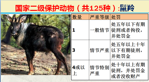 国家保护动物分几个等级（125类二级野生保护名录）