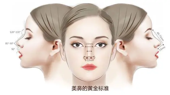 韦敏科普丨为什么假体隆鼻,高度不能随心所欲?