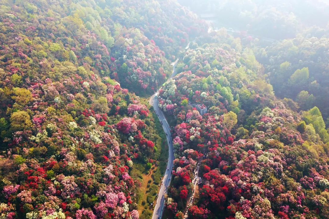 贵州又一景点火了！世界上最大的天然花园，4天3晚超详细攻略