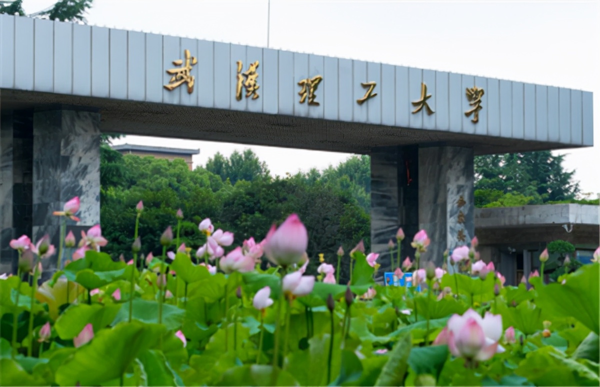 三所211大学实力不输985，在校生直言赚翻了，报考“性价比”超高