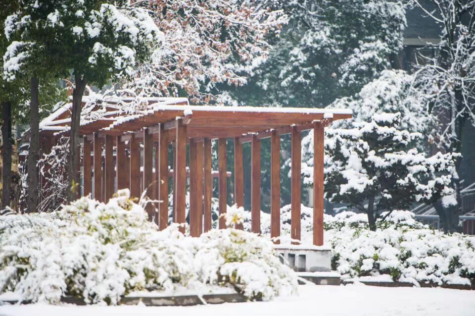 武汉两所名高，2020高考成绩，武昌实验中学与华师一附中难分伯仲