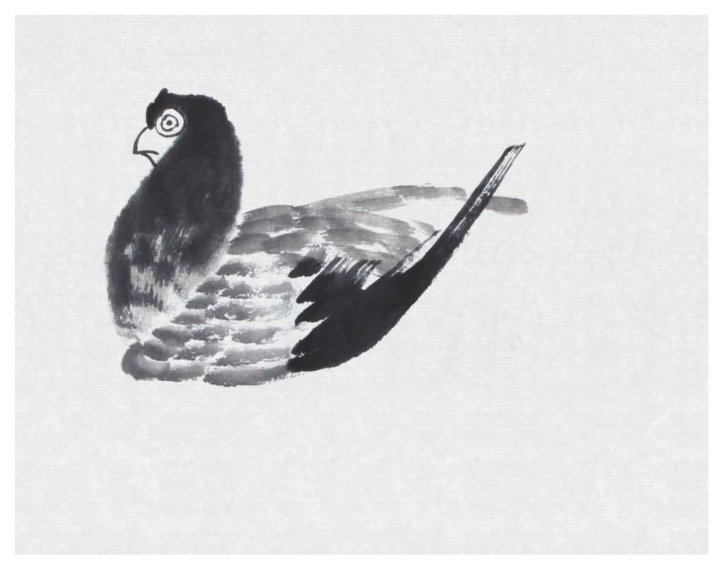 这样教你画鸽子，你好不会画？适合小白学习的鸽子画法，快来临摹