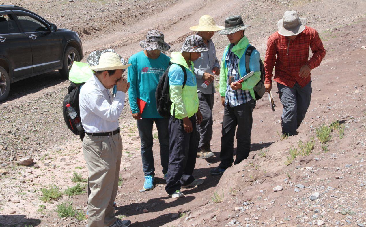 坐标重庆，575分怎么填报志愿？想读“石油相关专业”的211院校