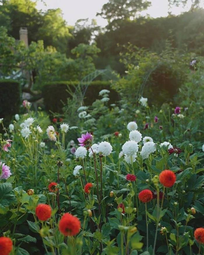 关于对亲人思念祈福的句子！