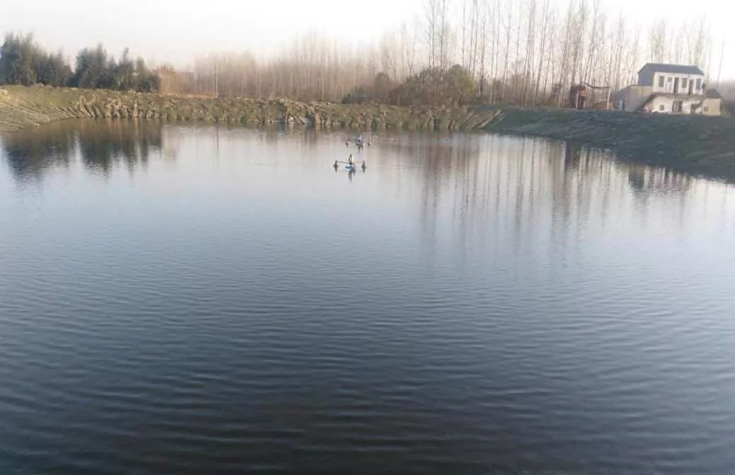 池塘管理五部曲让您轻松养好鱼