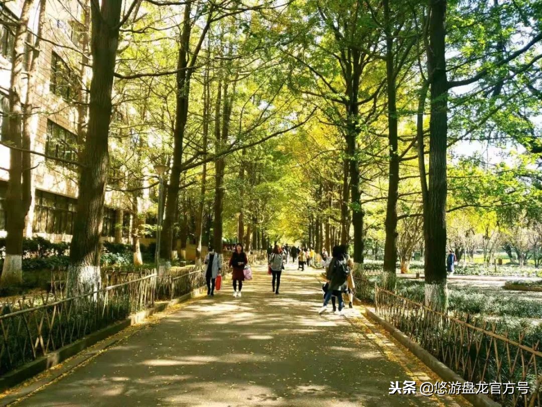 资讯｜昆明绝佳十大文艺拍照圣地，全部去过的请举手！