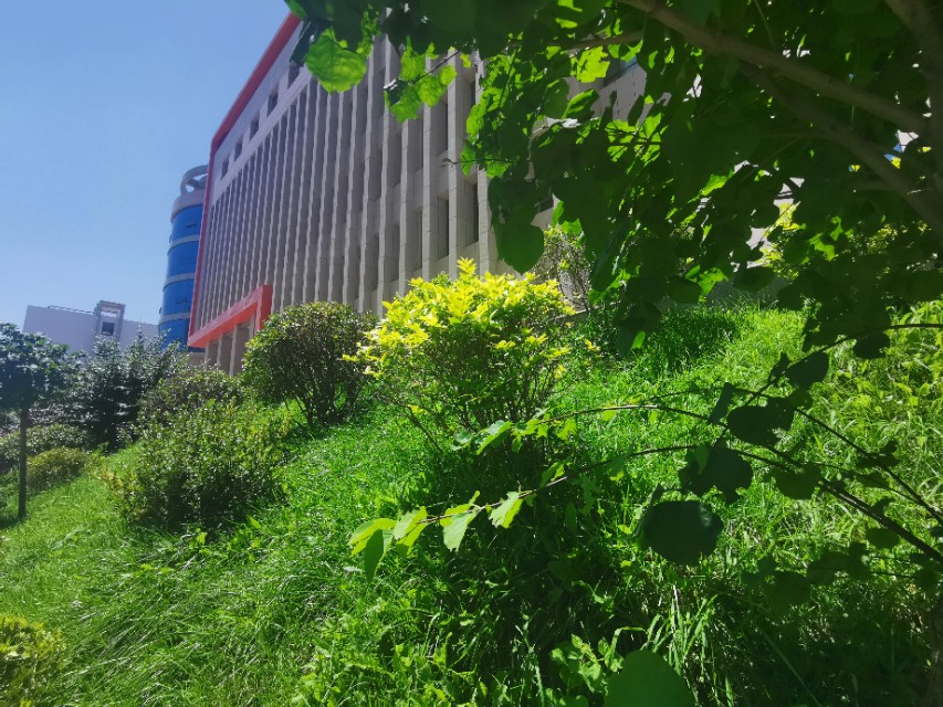 全国又新增20个国家级专业技术人员继续教育基地