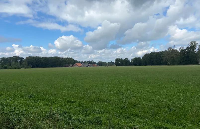 超超超值的艺术留学交换&双学位项目推荐