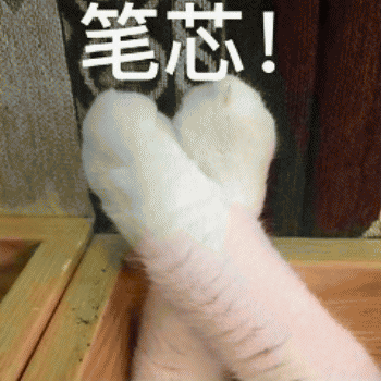 表情包：日常吸貓（awsl）