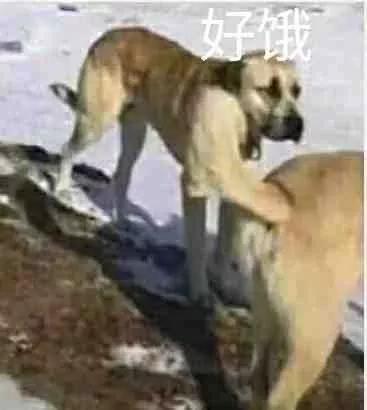 “男生最常用的给自己找台阶下的语录”评论也太好笑了，哈哈哈哈