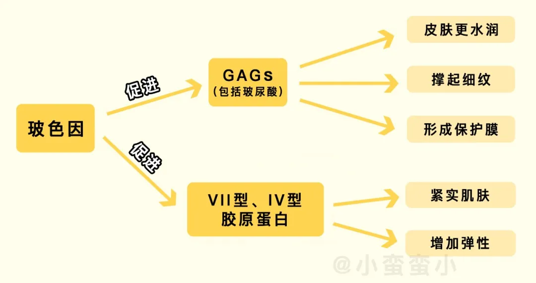 不管你现在几岁，你都会需要这份抗老功课