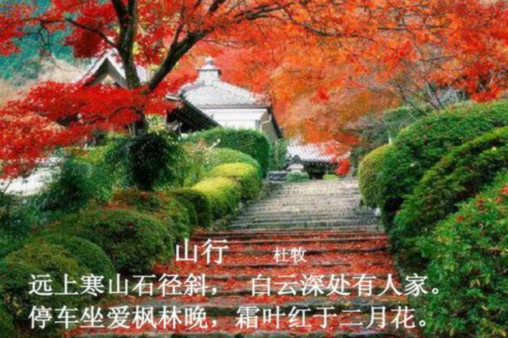 远上寒山石径斜，是“xia”还是“xie”？老师：不懂别乱教