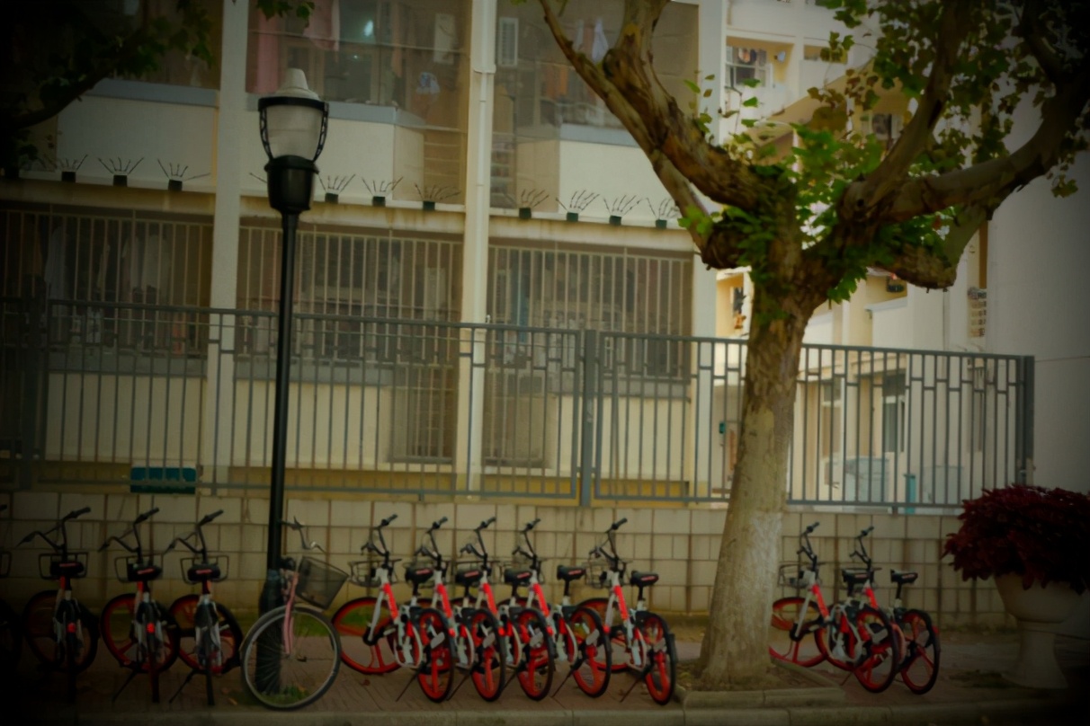 占地217.9万㎡！南京“最好吃大学”：八大食堂吃遍“网红美食”，校车还能免费坐！