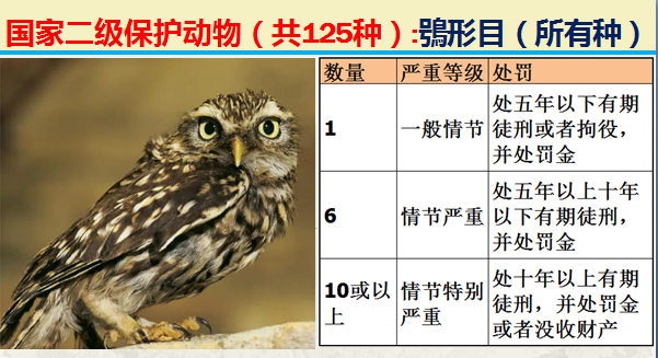 二级保护动物（国家最新125类二级野生保护名录）