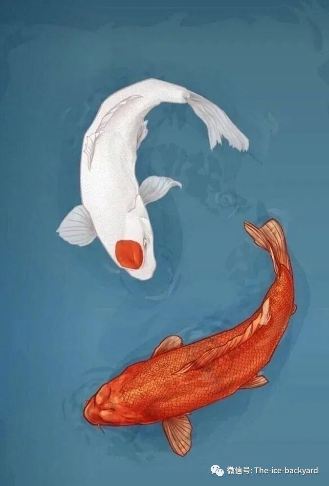 2021美国最新面签流程