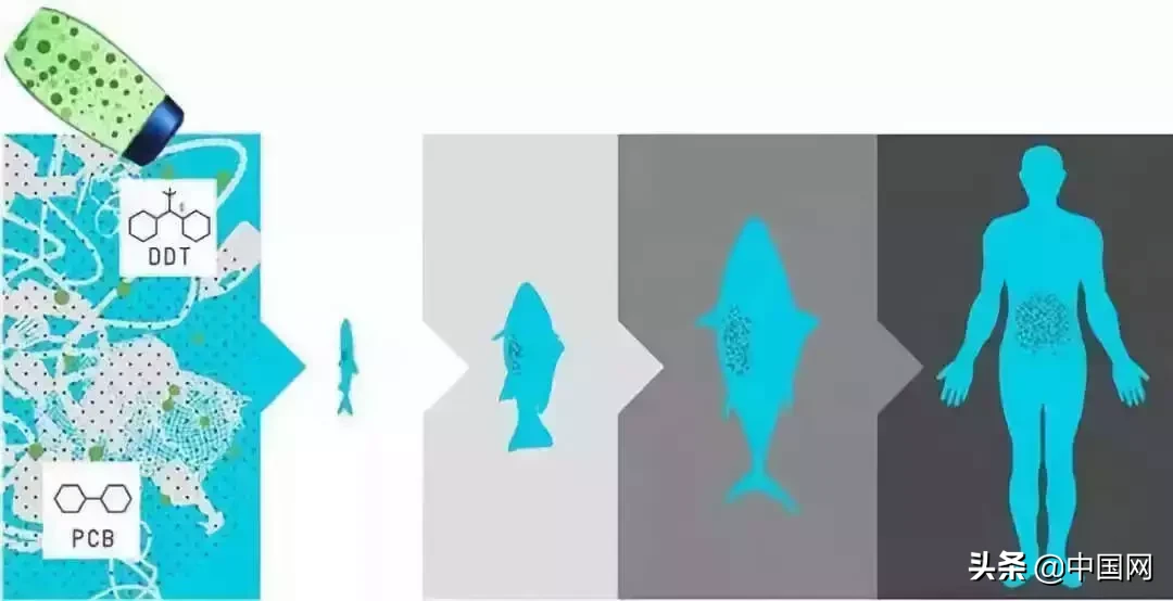 女子因垃圾未分类竟把志愿者掐晕，被行拘3日