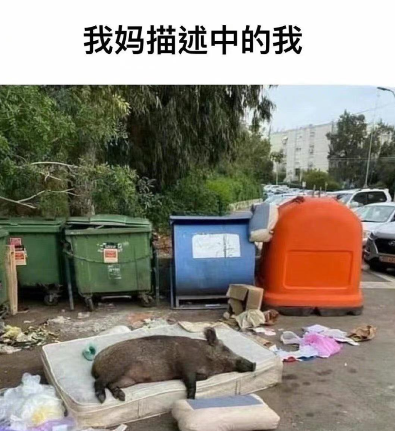 如何接吻？首先要找个舒服的地方，然后把门关好，再把灯关掉