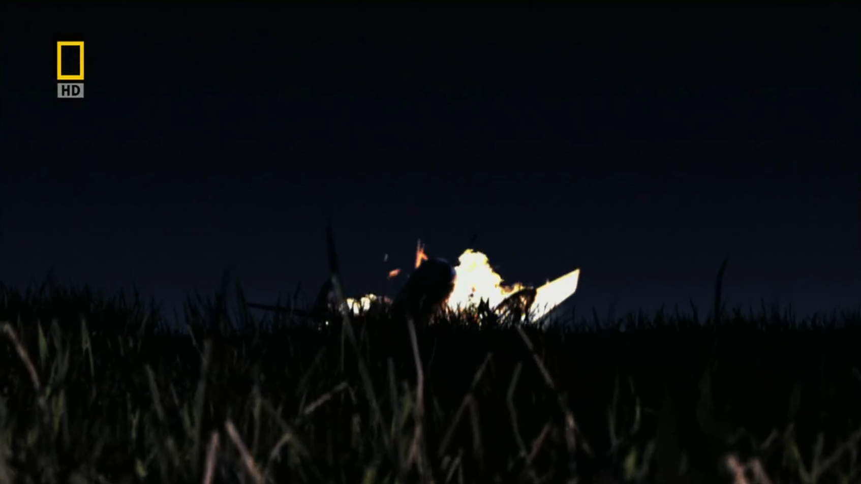 美国东方航空401次航班坠落在迈阿密沼泽，出现幽灵，注意飞行安全