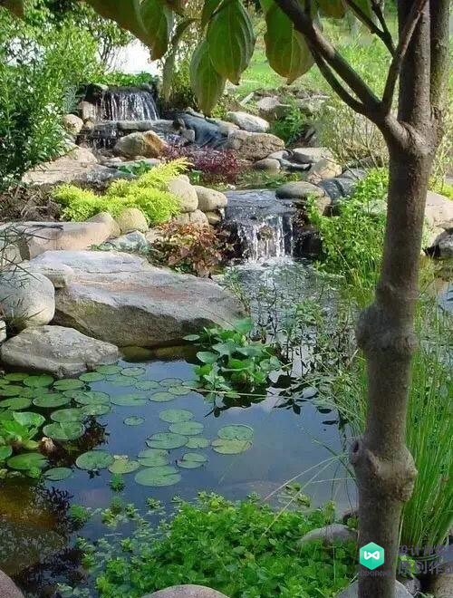 庭院鱼池都有哪些样式庭院鱼池样式图