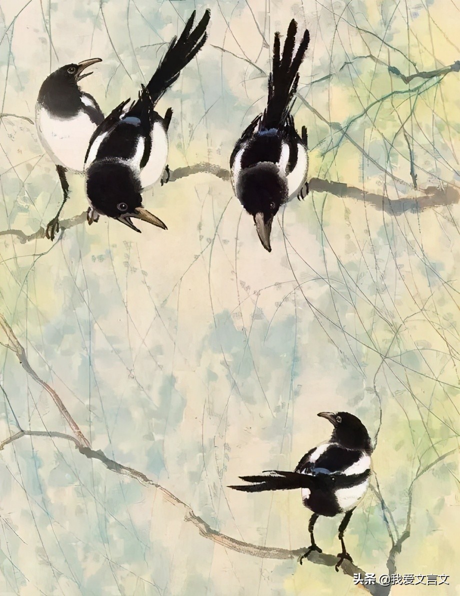 经典文言文赏析 | 鸲鹆噪虎