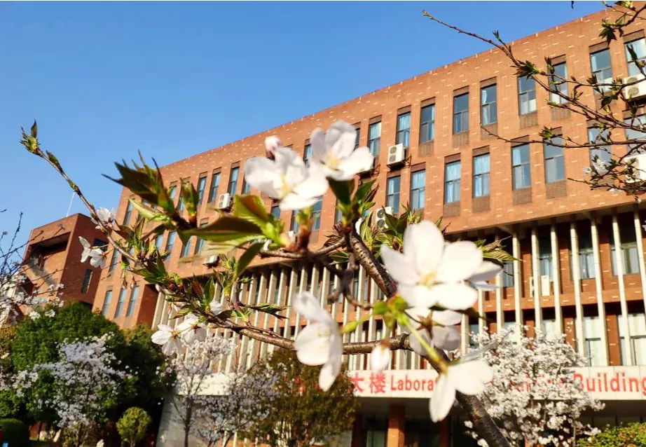 来武汉外语外事职业学院，出国不是梦