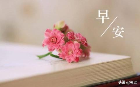 早安心语：只有真心真意，才能不离不弃