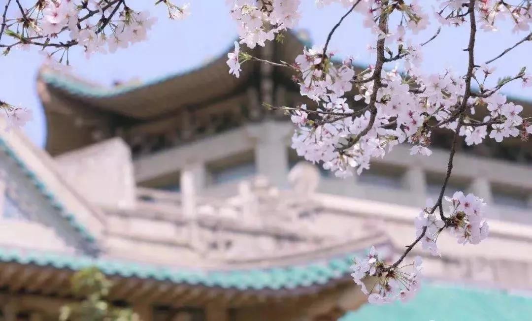 湖北所有大学（除了）