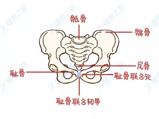 风靡妈妈圈的“骨盆修复”到底是个啥？管不管用？