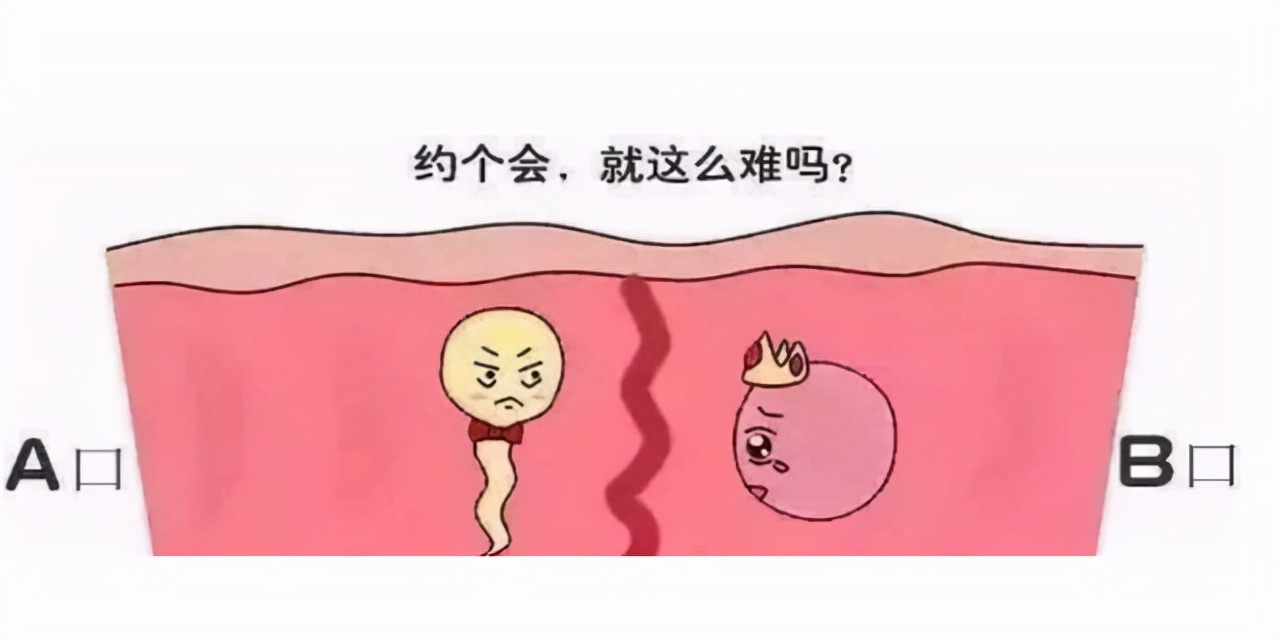 女性结扎之后，排出的卵子去哪里了呢？看完或许更明白