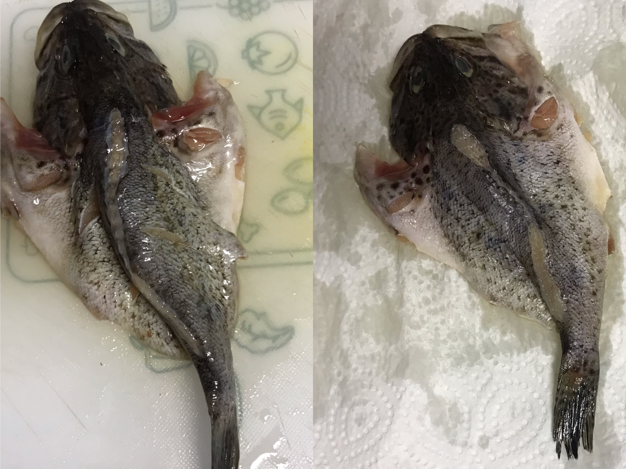 图片[6]-【酱香味烤海鱼】做法步骤图 肉嫩刺少 味道鲜美-起舞食谱网