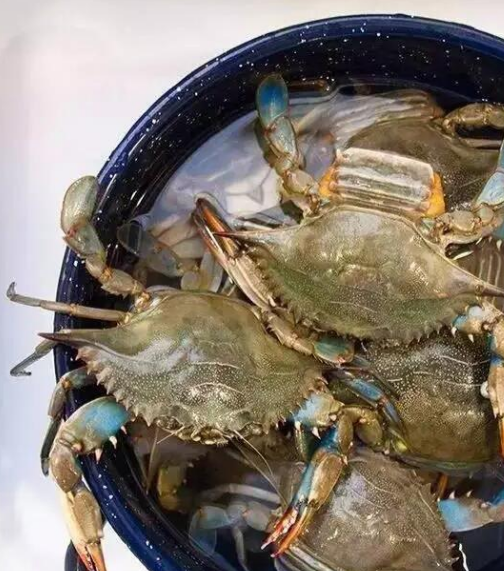 长江大闸蟹,此外还有天津紫蟹,辽宁兴城梭子蟹,浙江杭州的南湖蟹