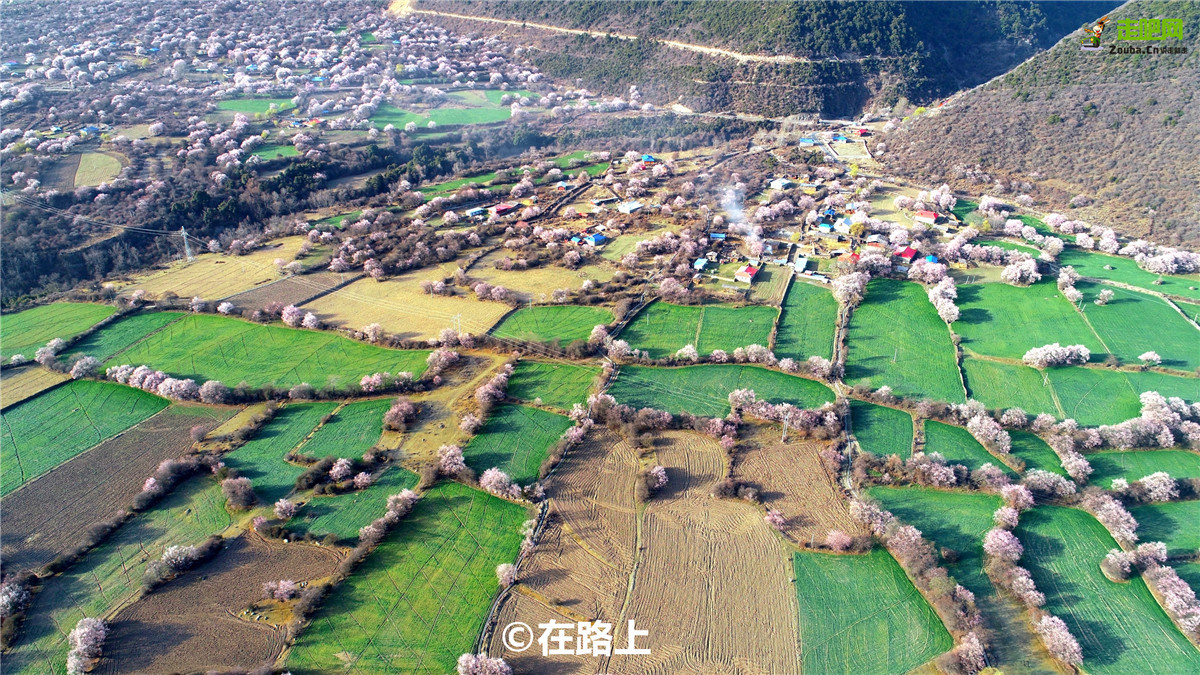 不是林芝！不是拉萨！318旁边建的县城，把西藏的美丽聚集在了这里。