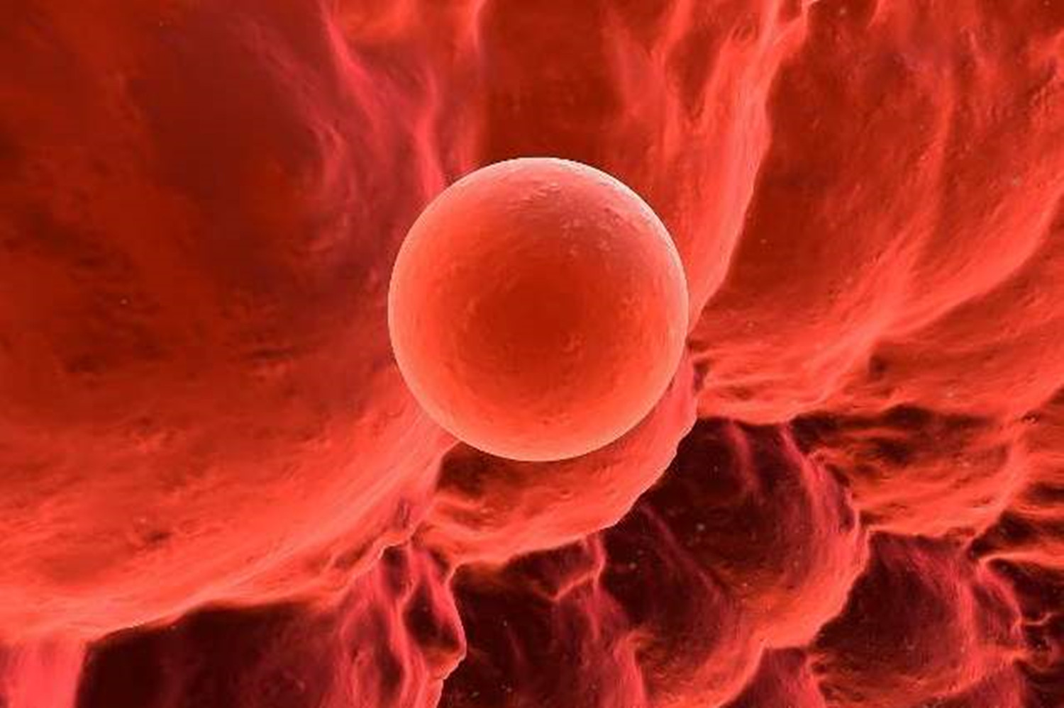 当女性出现这5个"变化",说明进入排卵期了,备孕夫妻要抓紧