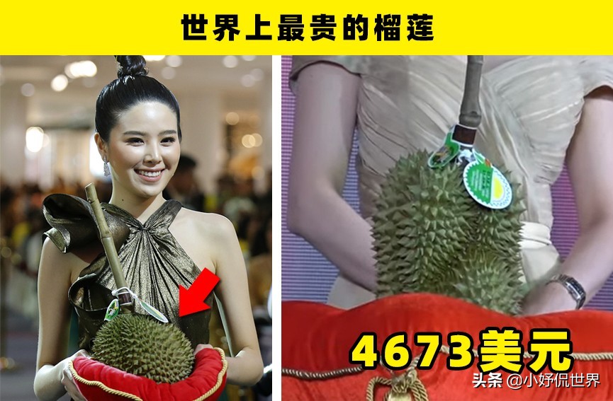 黑刺参、蛇纹乌木瓜、神秘椰子、帝王蓝菠萝……这些水果听起来就很高级呢，不知道你吃过几种？