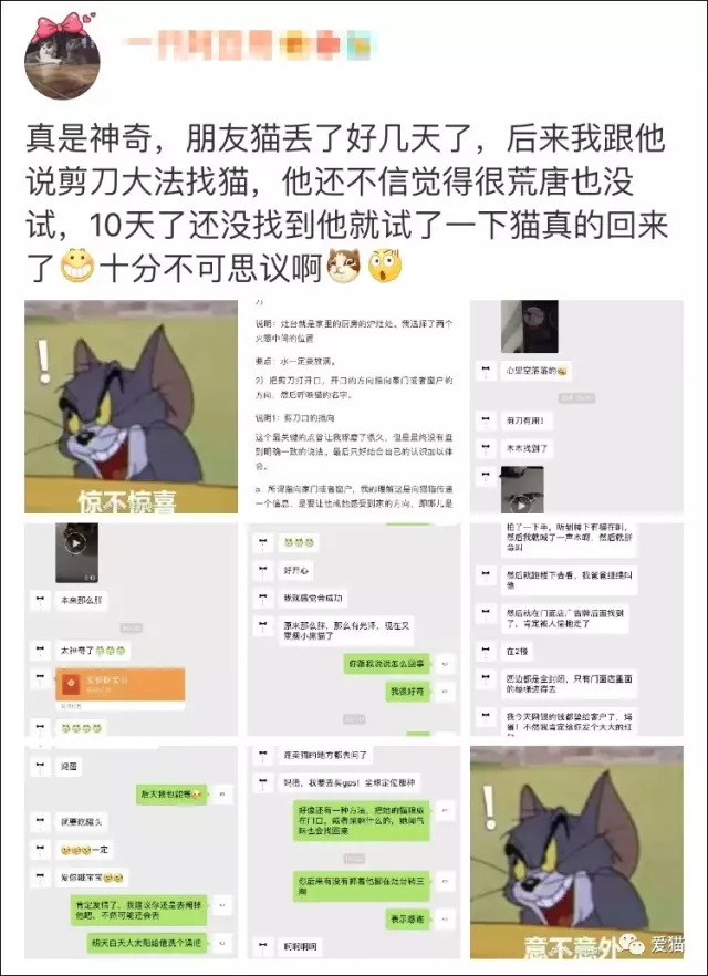 “剪刀大法”真的能找回走丢的猫？我信了