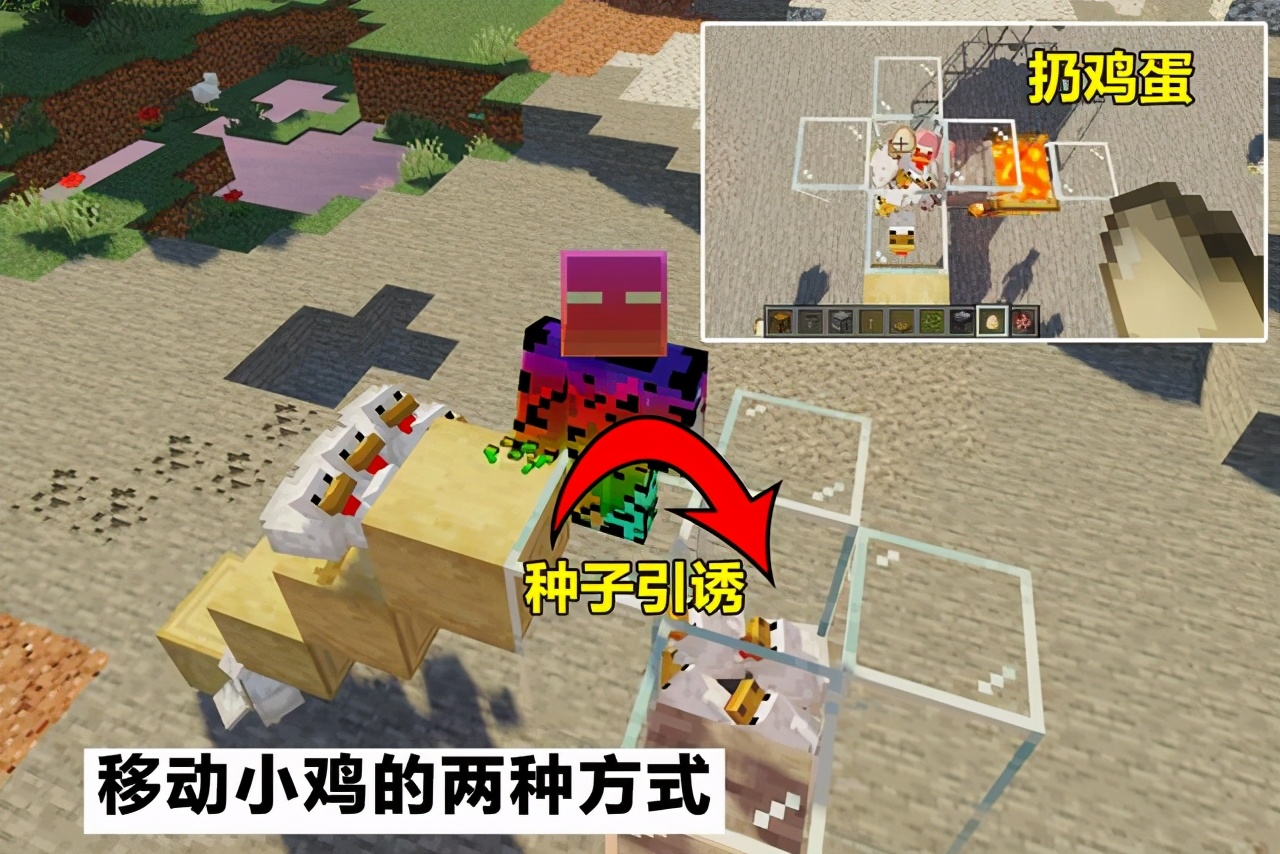 我的世界：设计巧妙的小鸡农场，从鸡蛋到熟鸡肉，全自动化运行