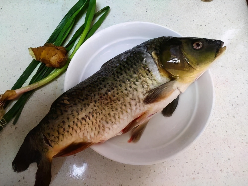 鲤鱼刺多还是草鱼刺多（要牢记3做1不放鱼汤鲜香味浓）