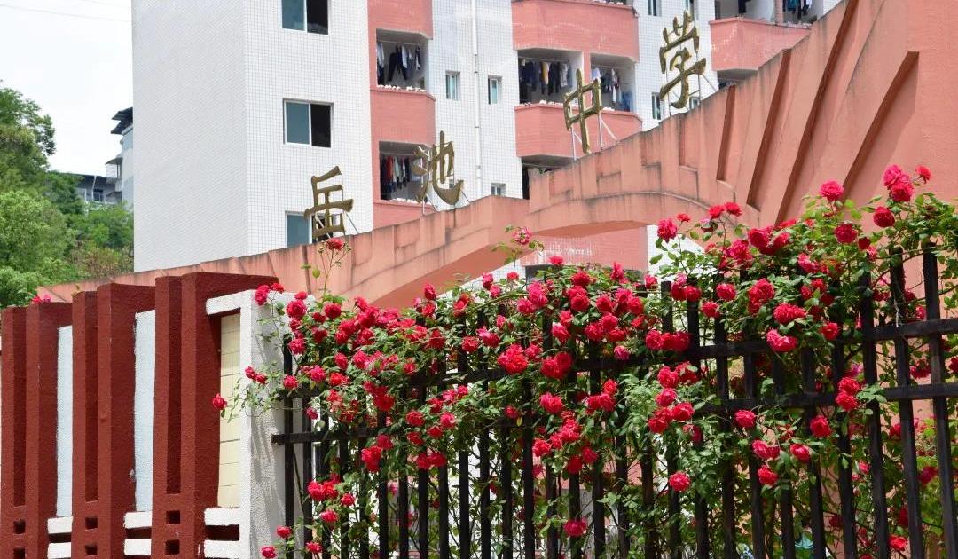 点燃激情,献礼校庆,岳池中学隆重举行高三誓师大会