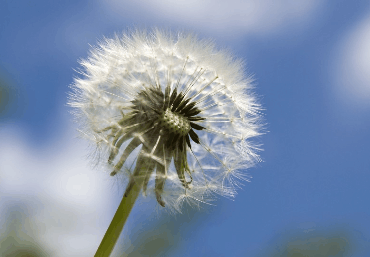 “和睦相处”这四个字到底有几成意思，是好还是坏呢？