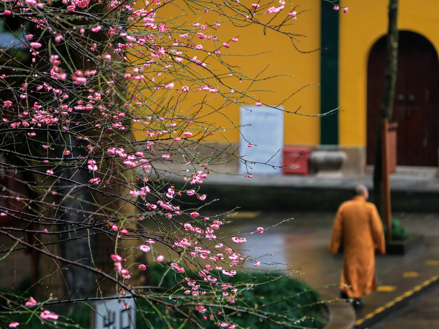 杭州旅游十大必去打卡景点